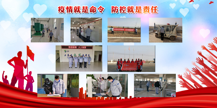 2.孕爸.jpg